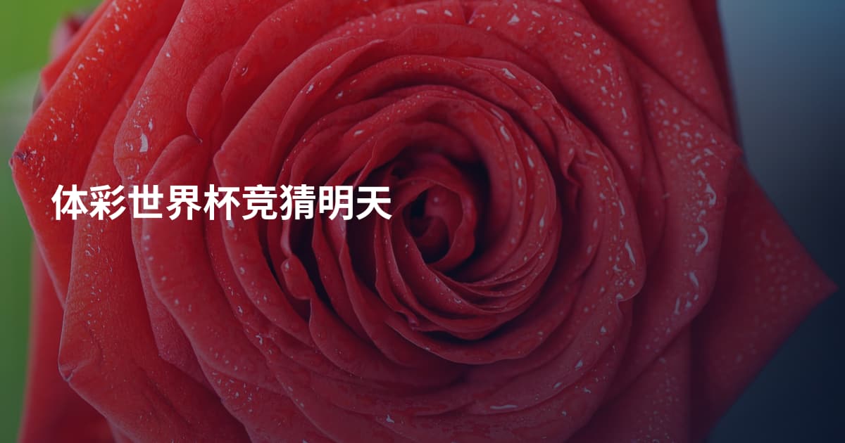 体彩世界杯竞猜明天