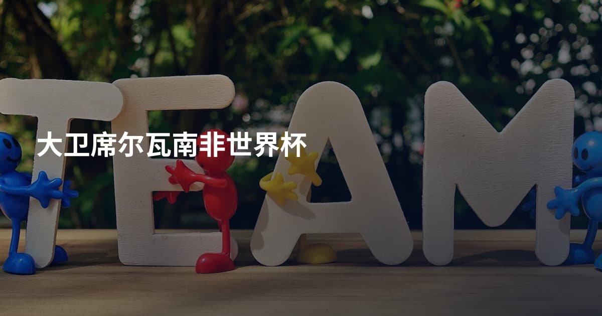 大卫席尔瓦南非世界杯