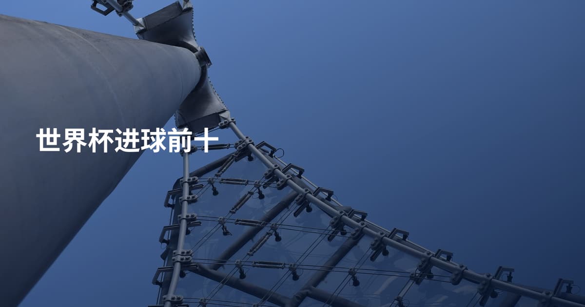 世界杯进球前十