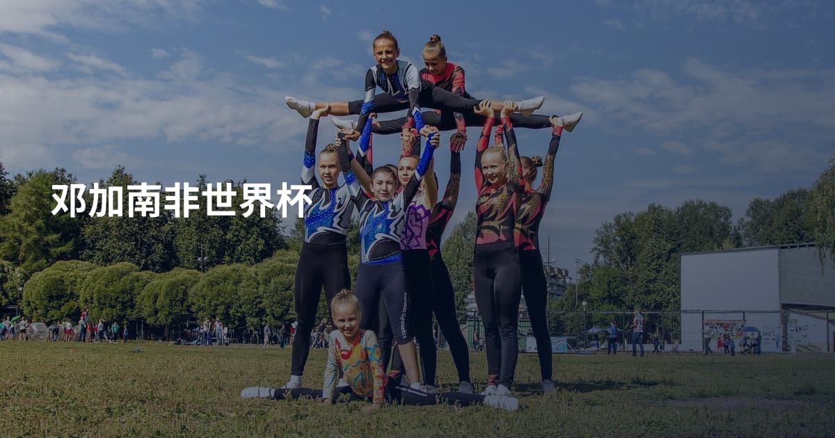 邓加南非世界杯