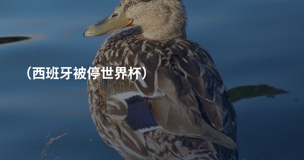 （西班牙被停世界杯）