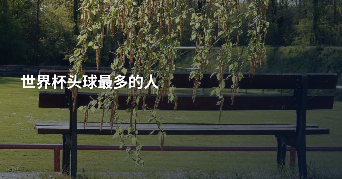 世界杯头球最多的人