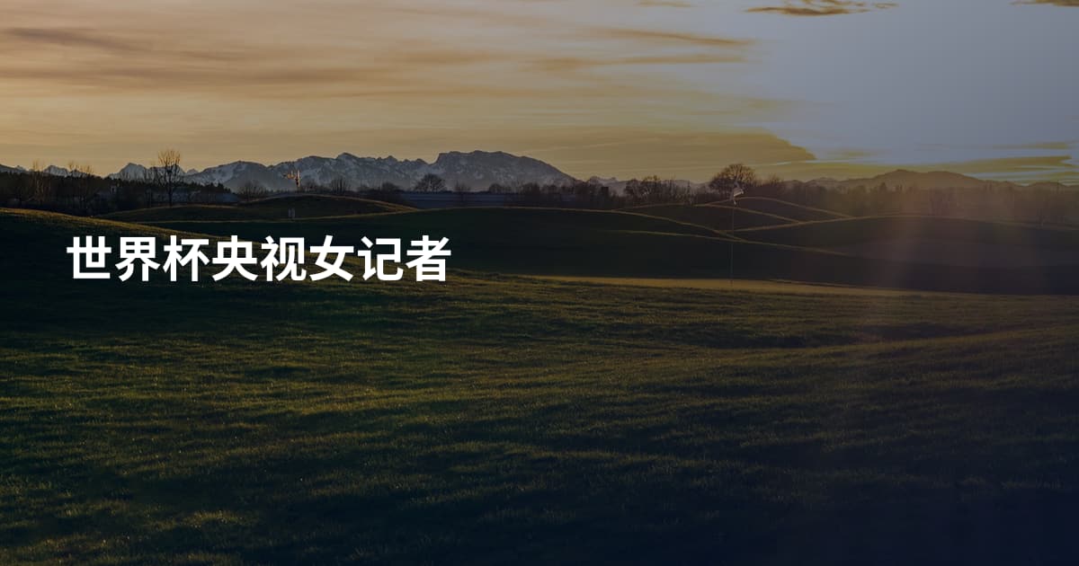 世界杯央视女记者