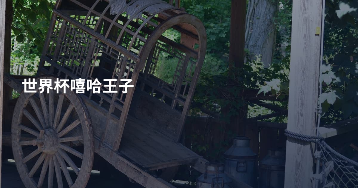 世界杯嘻哈王子