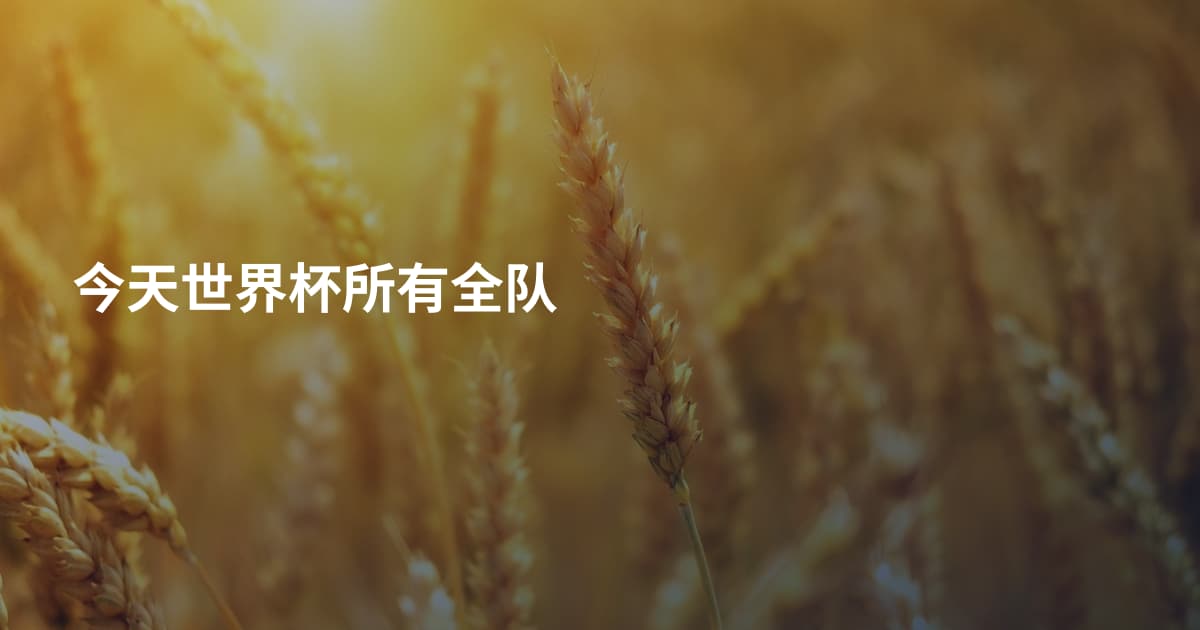 今天世界杯所有全队