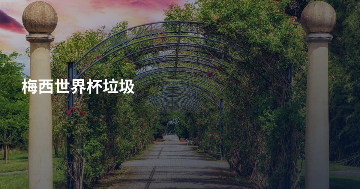 梅西世界杯垃圾