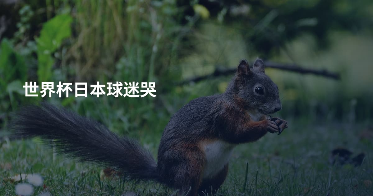 世界杯日本球迷哭