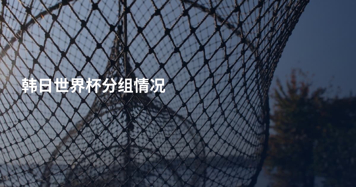 韩日世界杯分组情况