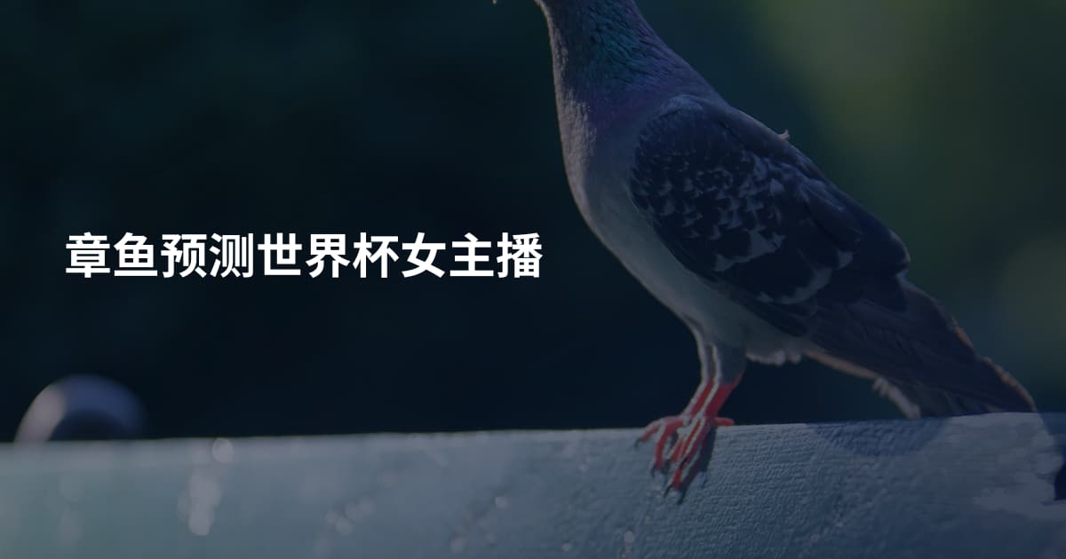 章鱼预测世界杯女主播