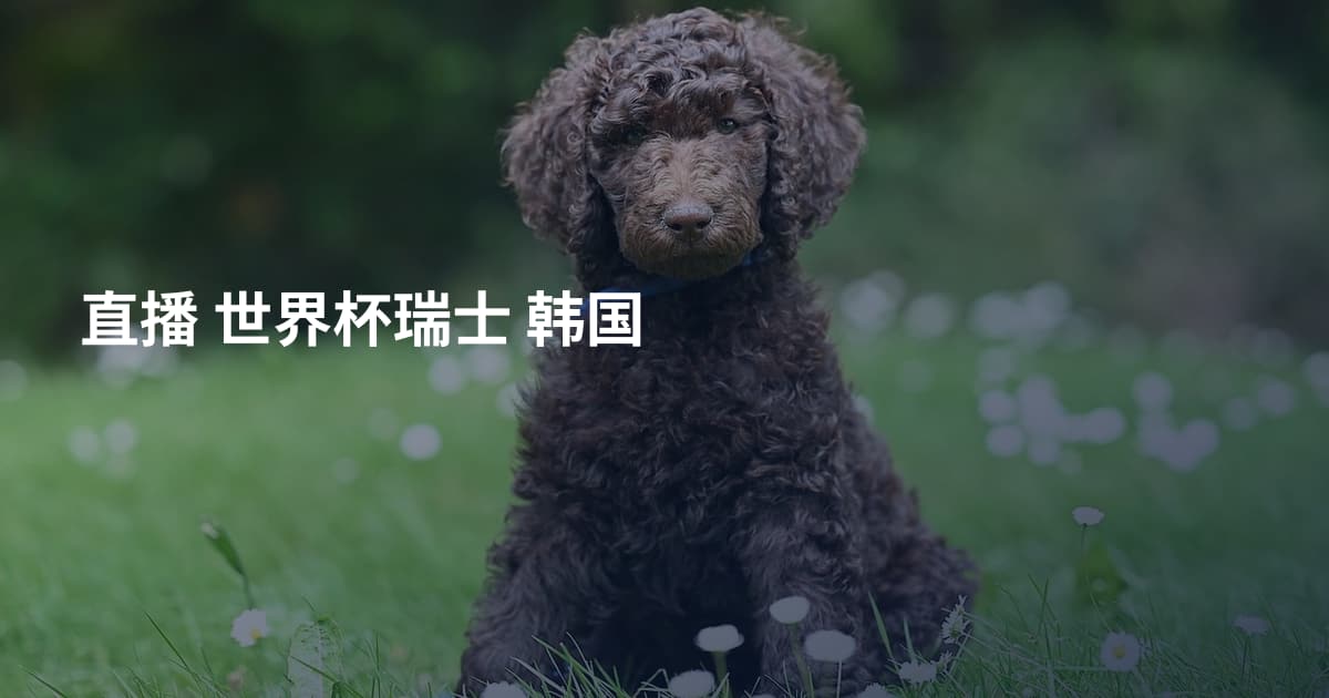 直播 世界杯瑞士 韩国