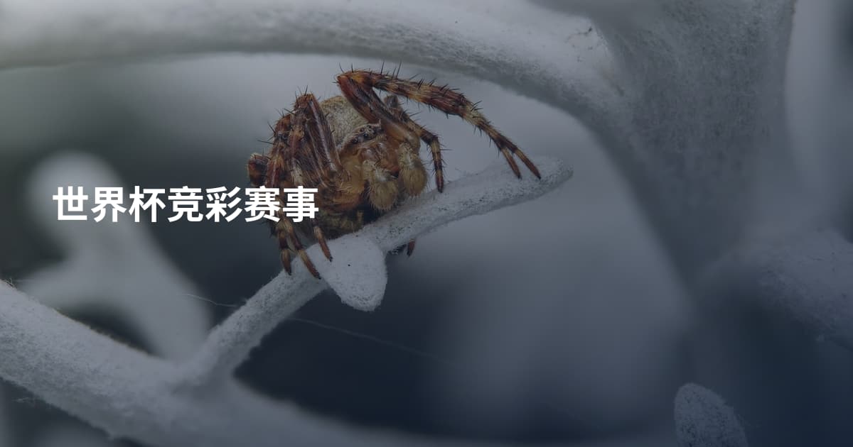 世界杯竞彩赛事