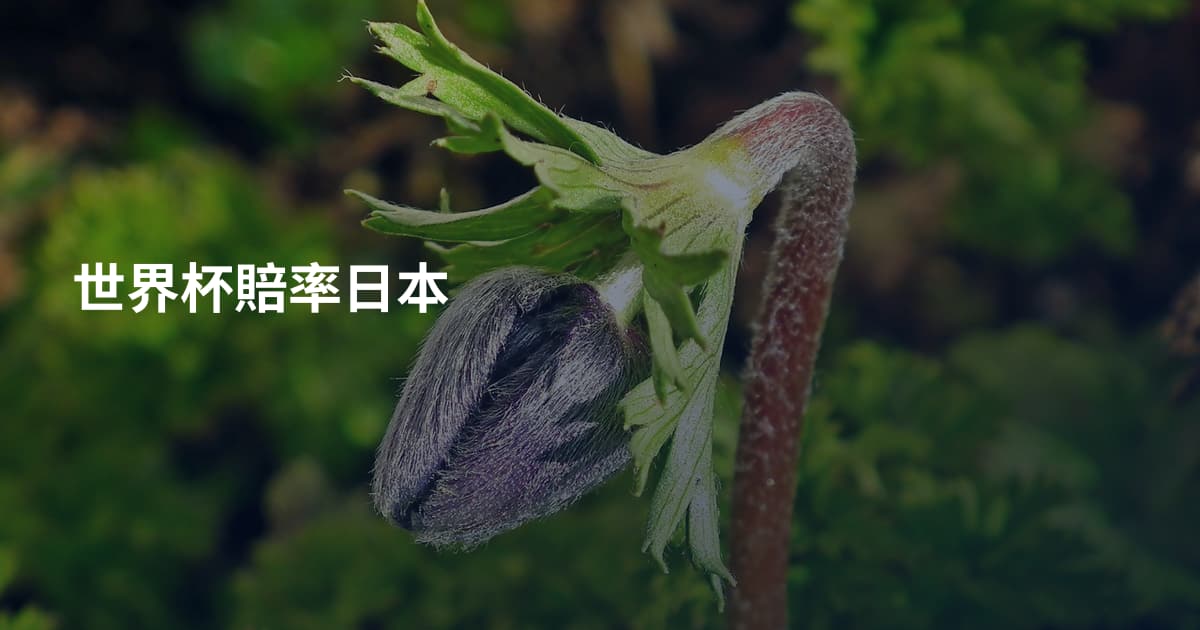 世界杯賠率日本