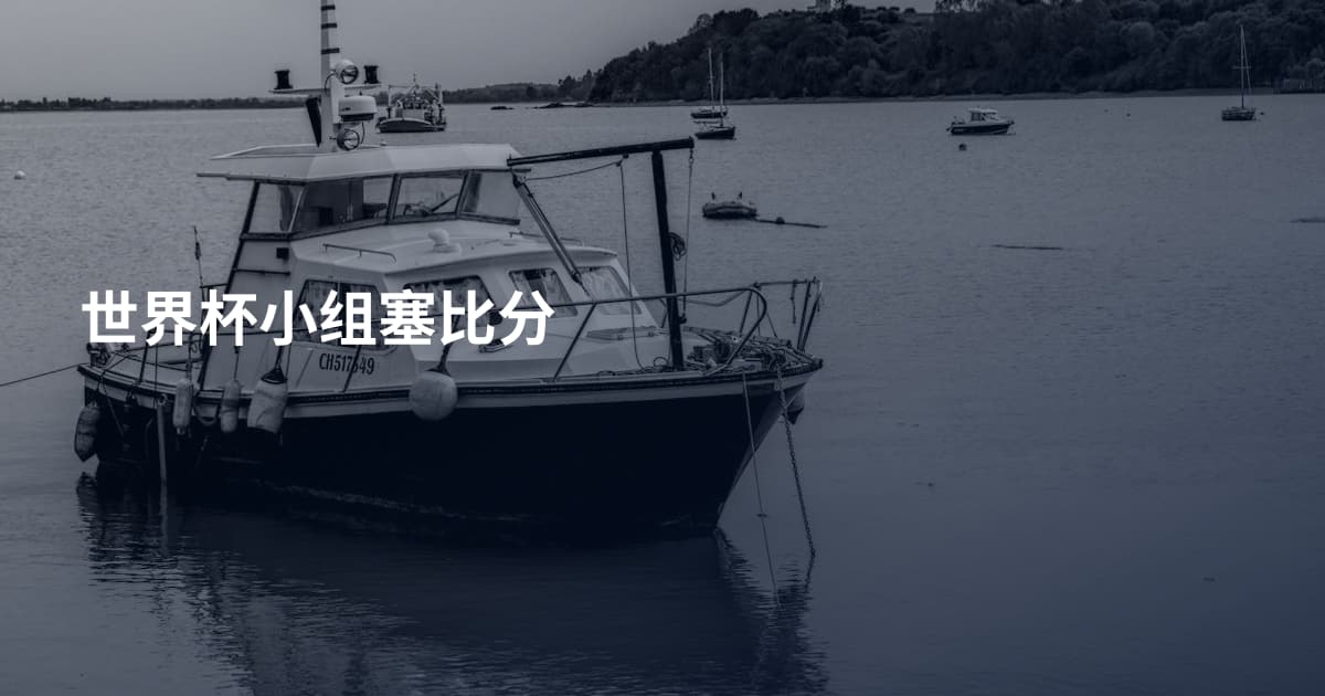 世界杯小组塞比分