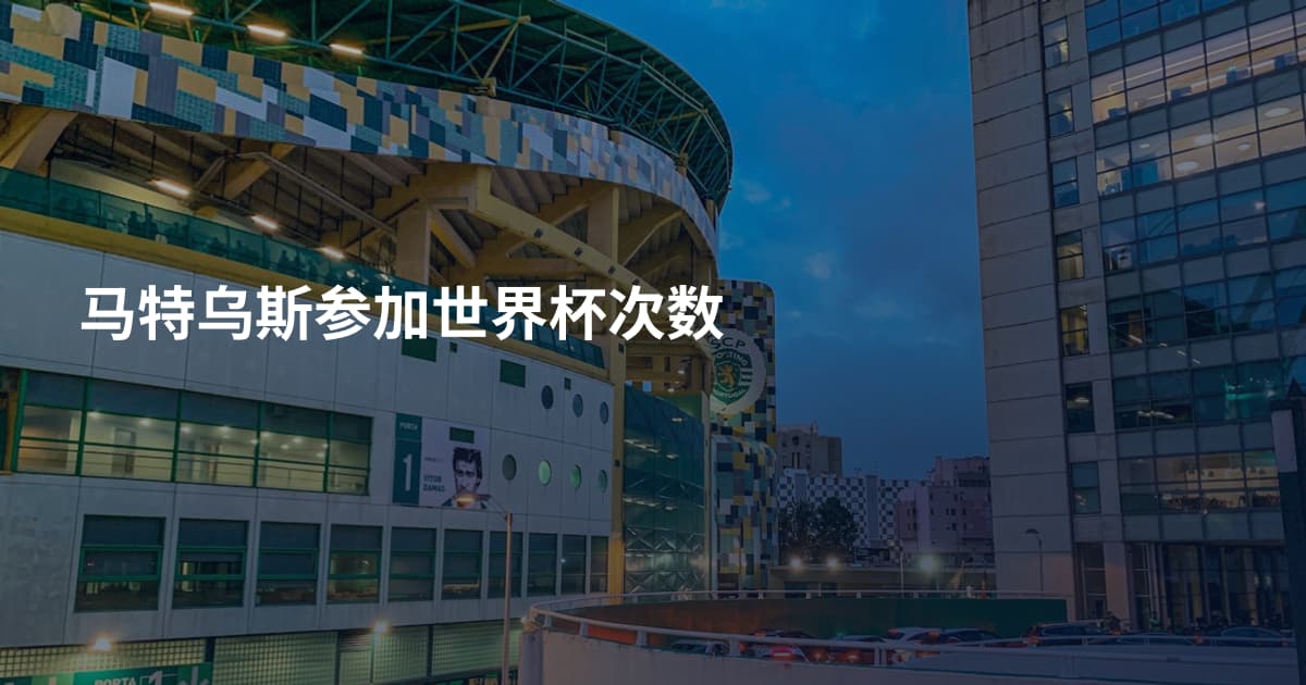 马特乌斯参加世界杯次数