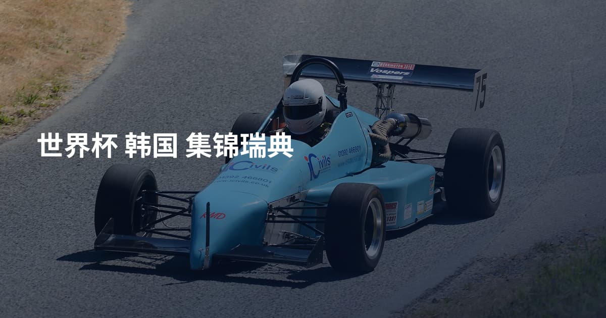 世界杯 韩国 集锦瑞典