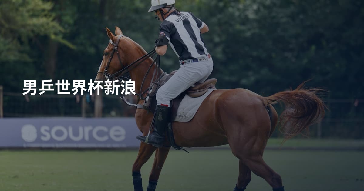 男乒世界杯新浪
