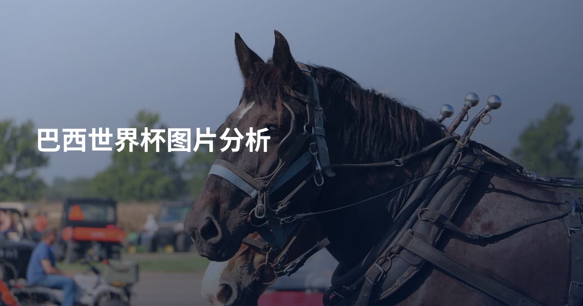 巴西世界杯图片分析
