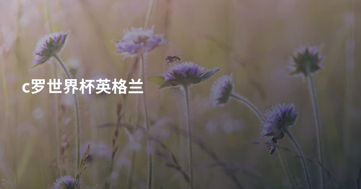 c罗世界杯英格兰