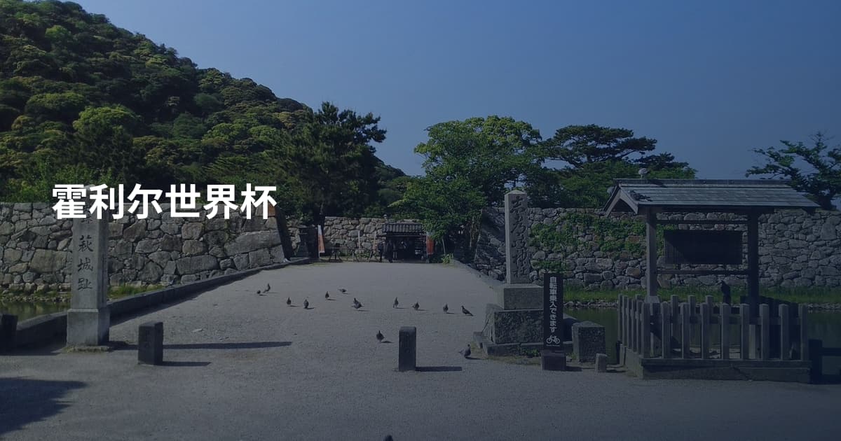 霍利尔世界杯