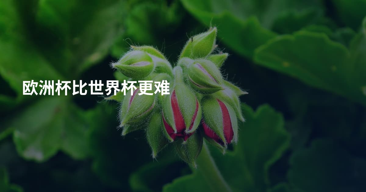 欧洲杯比世界杯更难