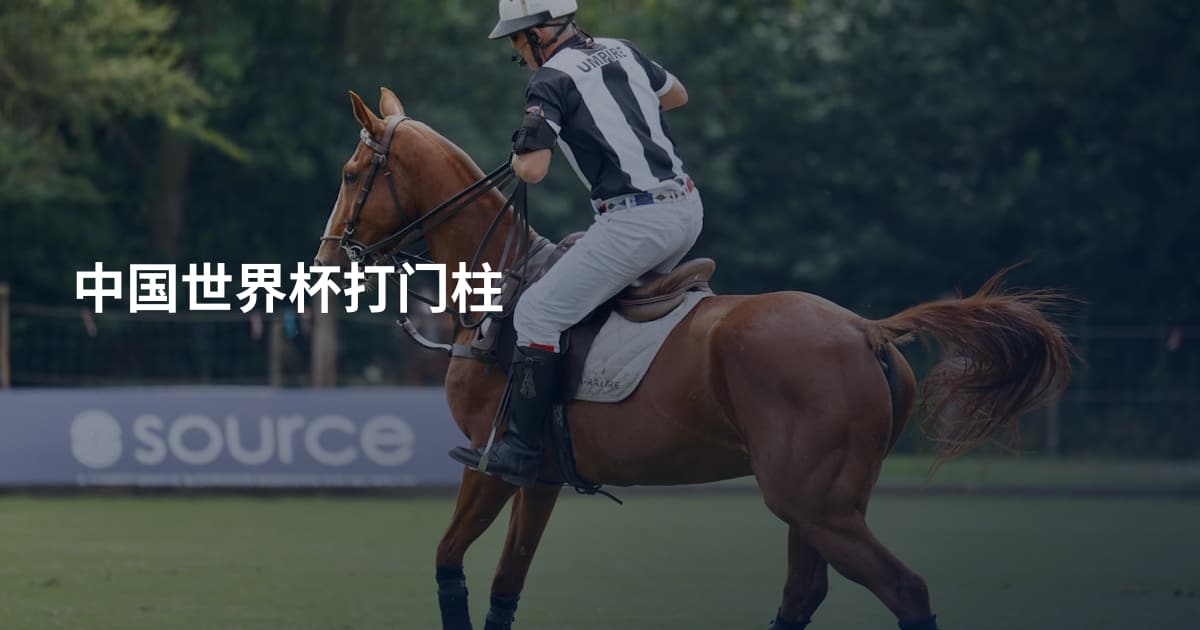 中国世界杯打门柱