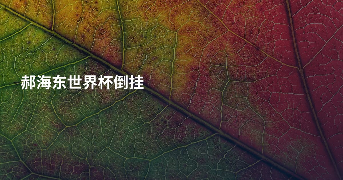 郝海东世界杯倒挂