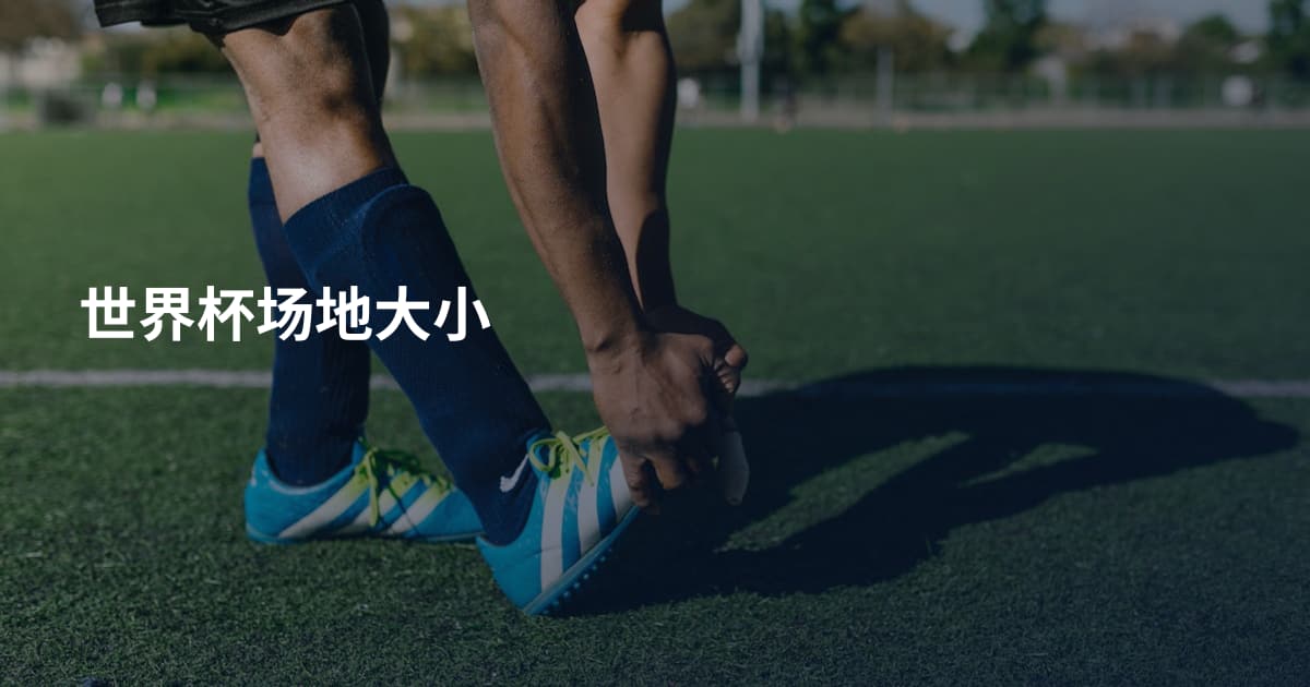 世界杯场地大小