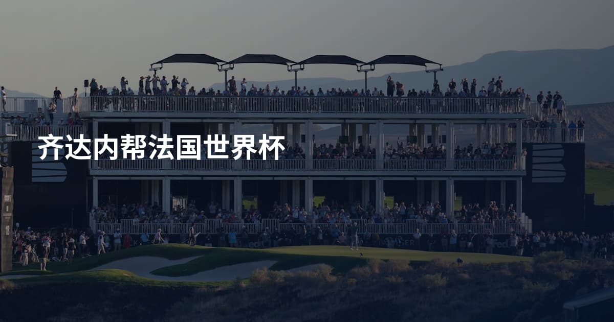 齐达内帮法国世界杯