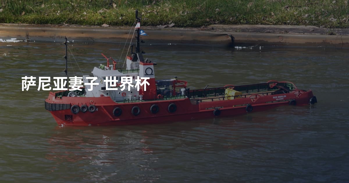 萨尼亚妻子 世界杯