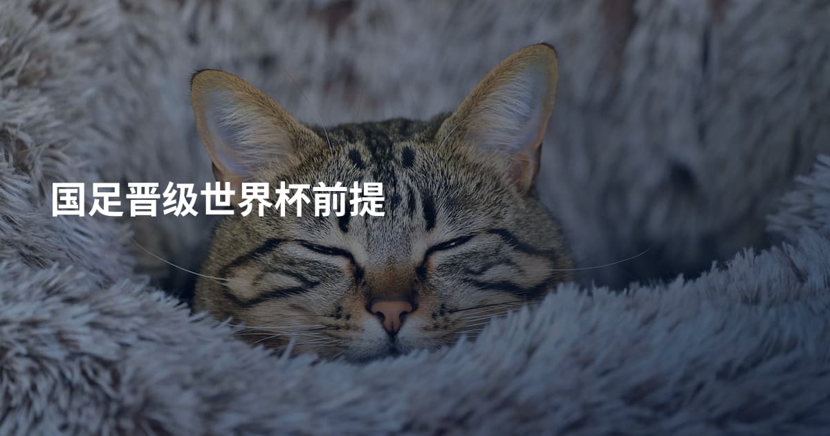 国足晋级世界杯前提