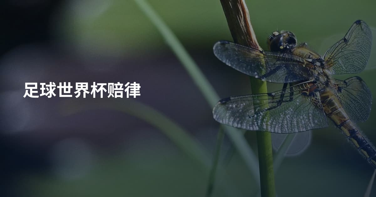 足球世界杯赔律