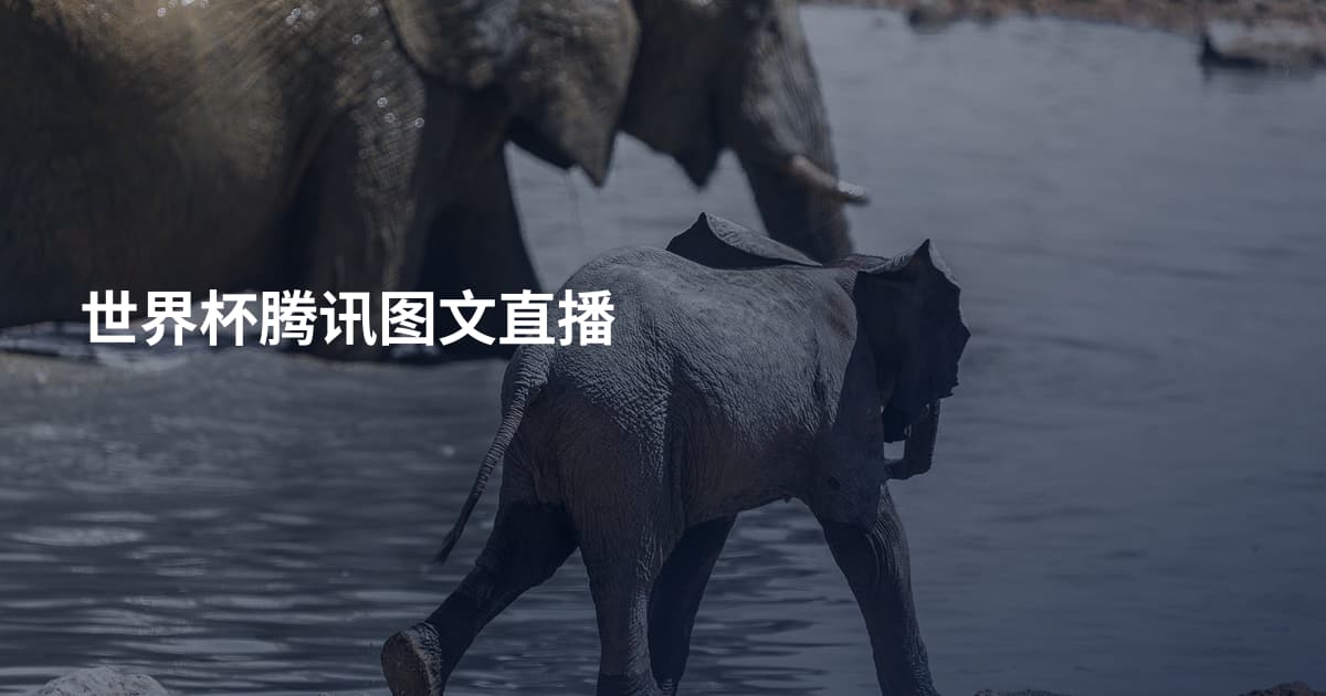 世界杯腾讯图文直播