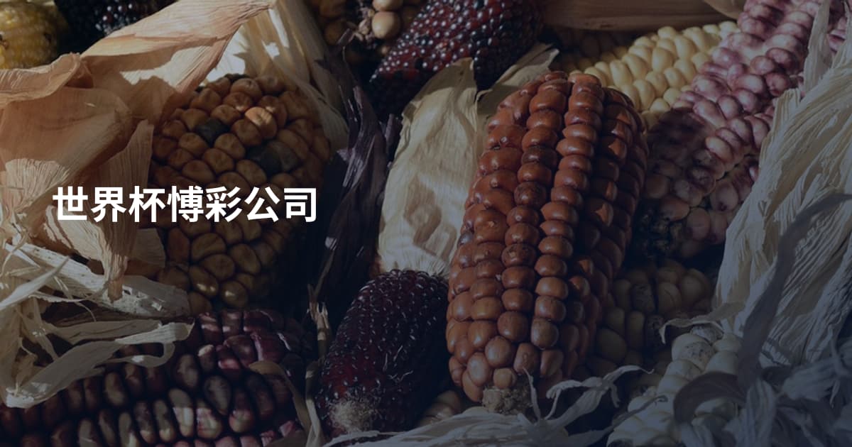 世界杯愽彩公司