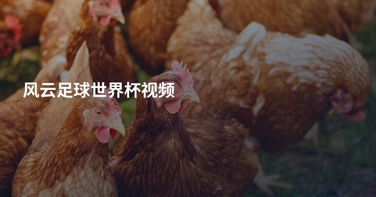 风云足球世界杯视频