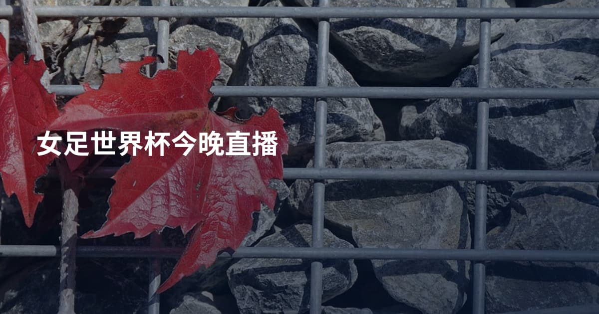 女足世界杯今晚直播