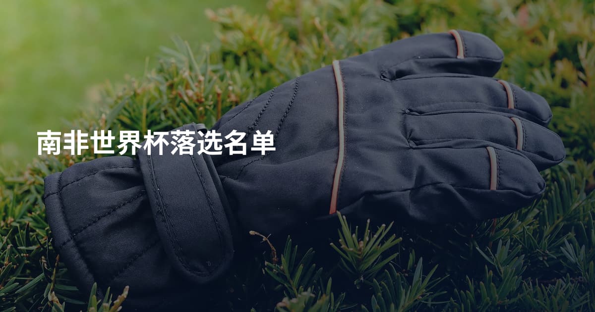 南非世界杯落选名单