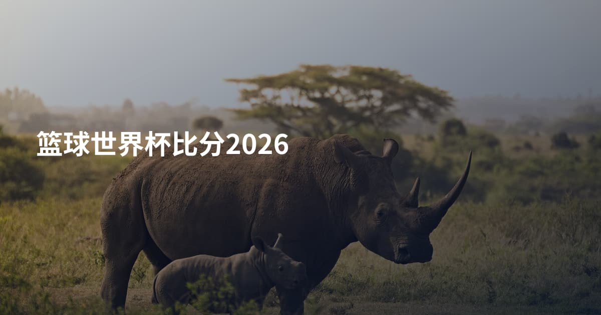 篮球世界杯比分2026