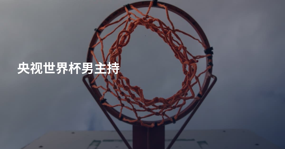 央视世界杯男主持