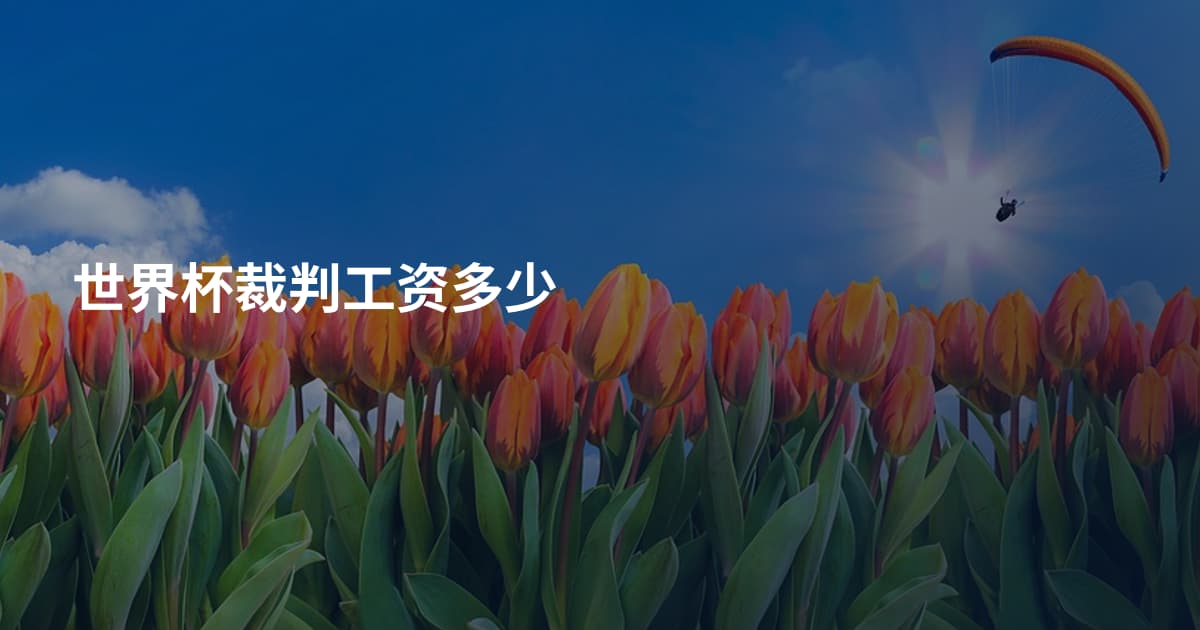世界杯裁判工资多少