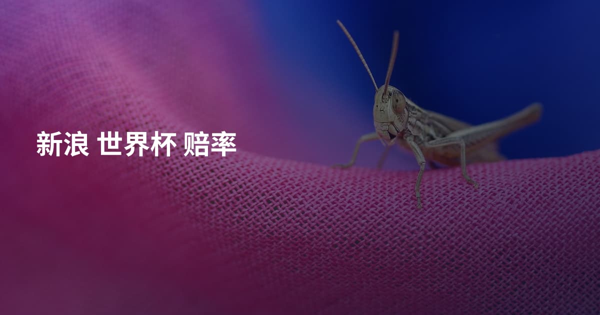 新浪 世界杯 赔率