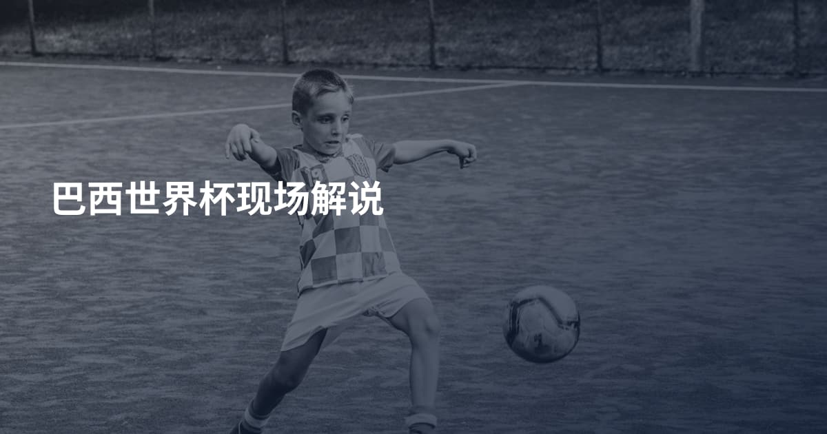 巴西世界杯现场解说
