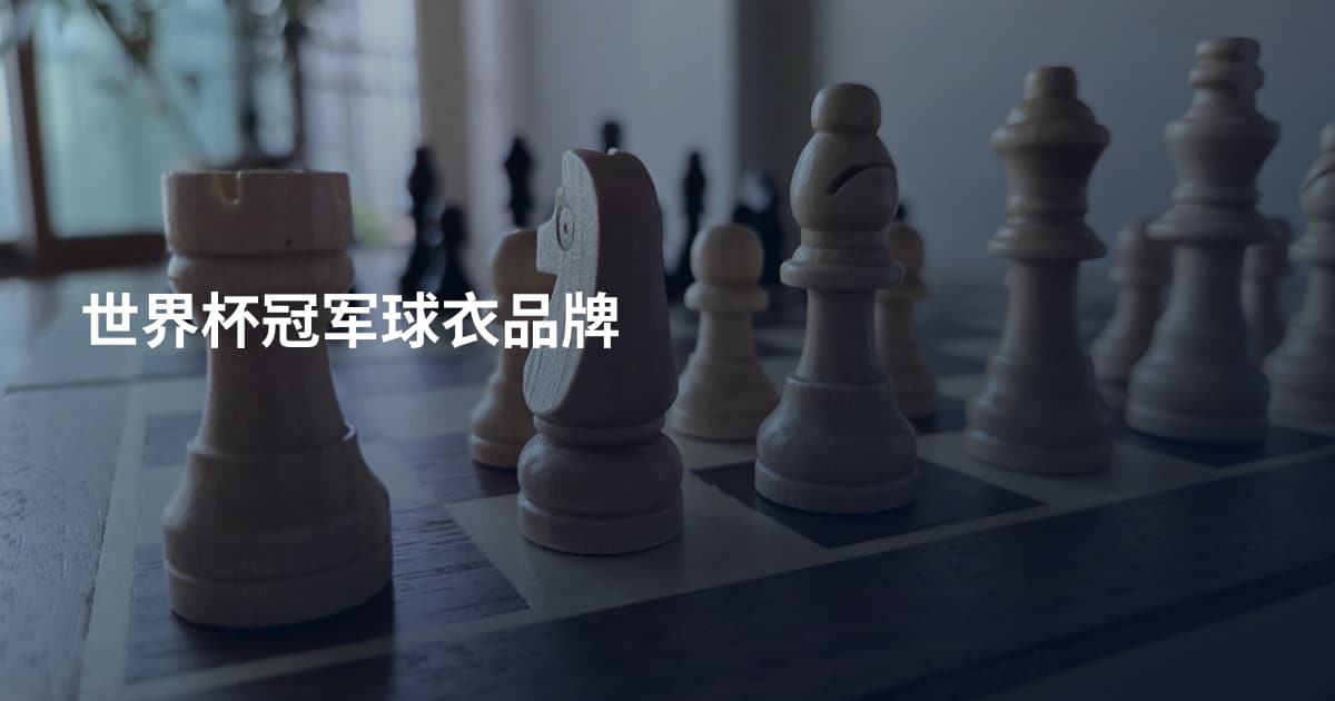 世界杯冠军球衣品牌