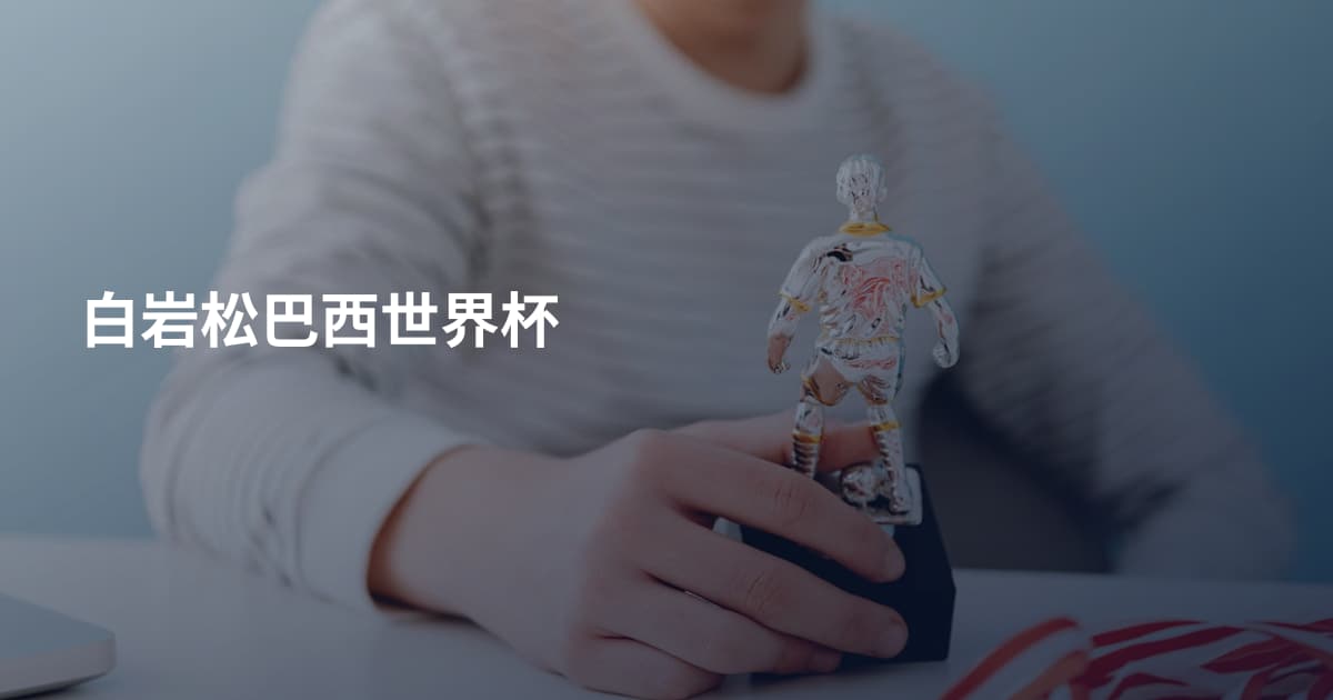 白岩松巴西世界杯