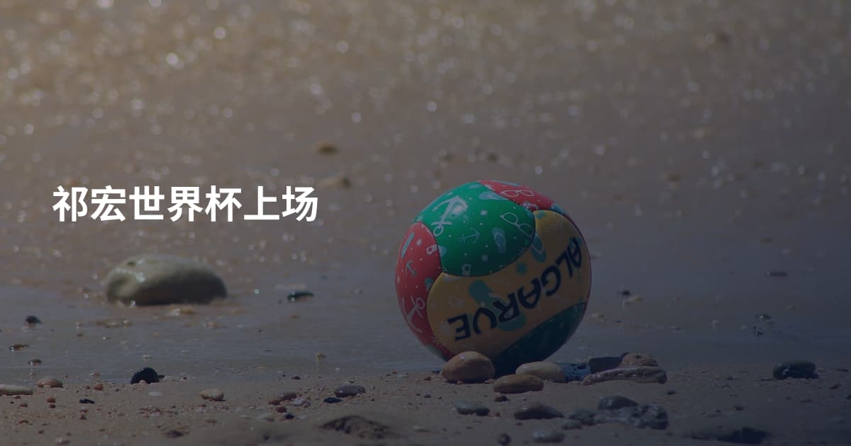 祁宏世界杯上场