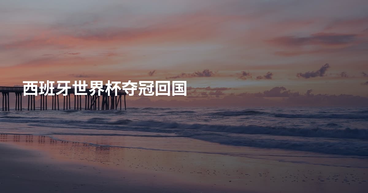 西班牙世界杯夺冠回国