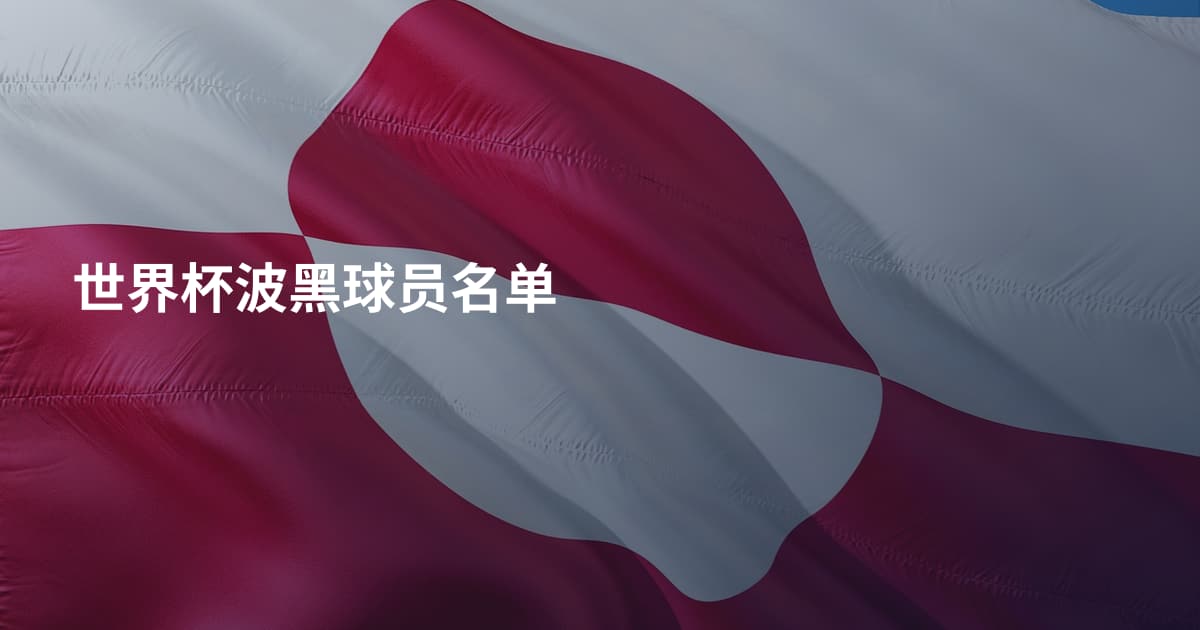 世界杯波黑球员名单