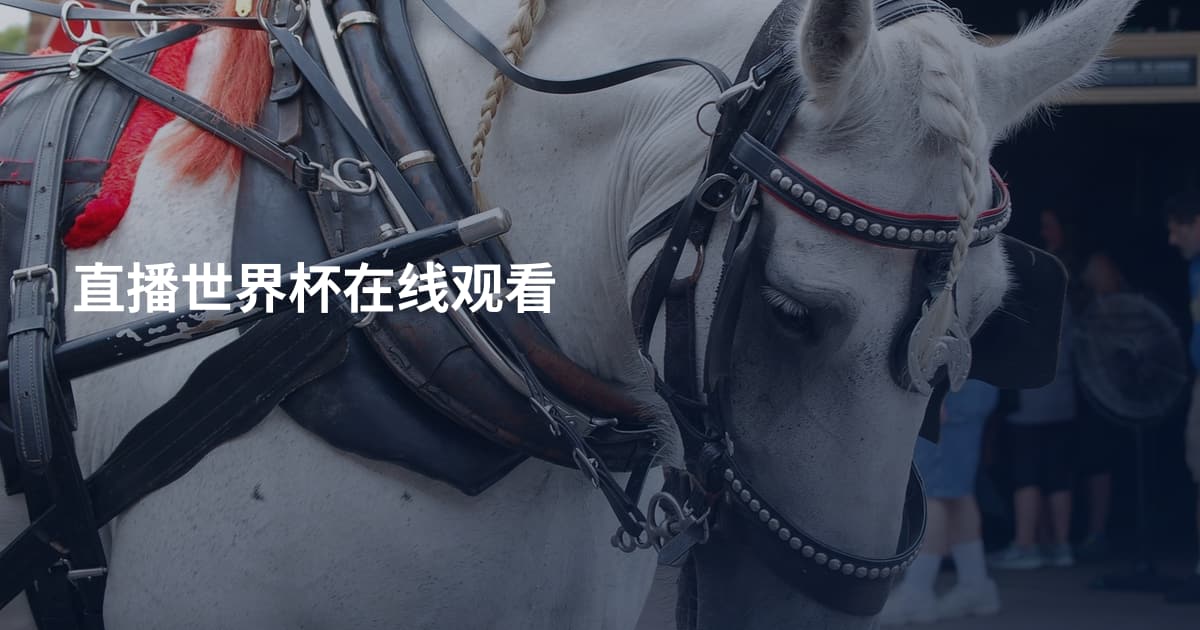 直播世界杯在线观看