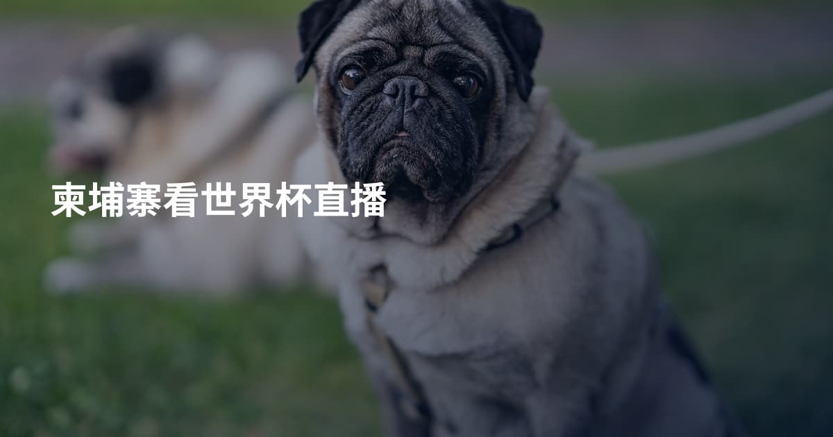 柬埔寨看世界杯直播