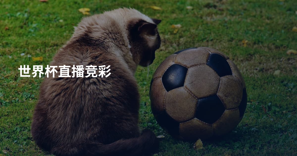 世界杯直播竞彩