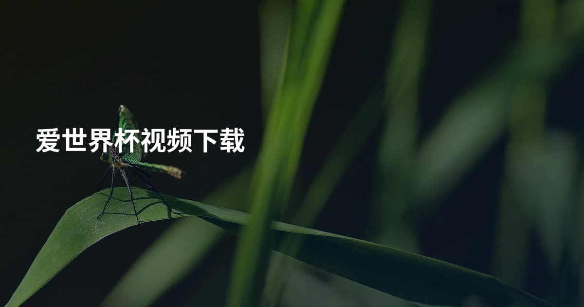 爱世界杯视频下载